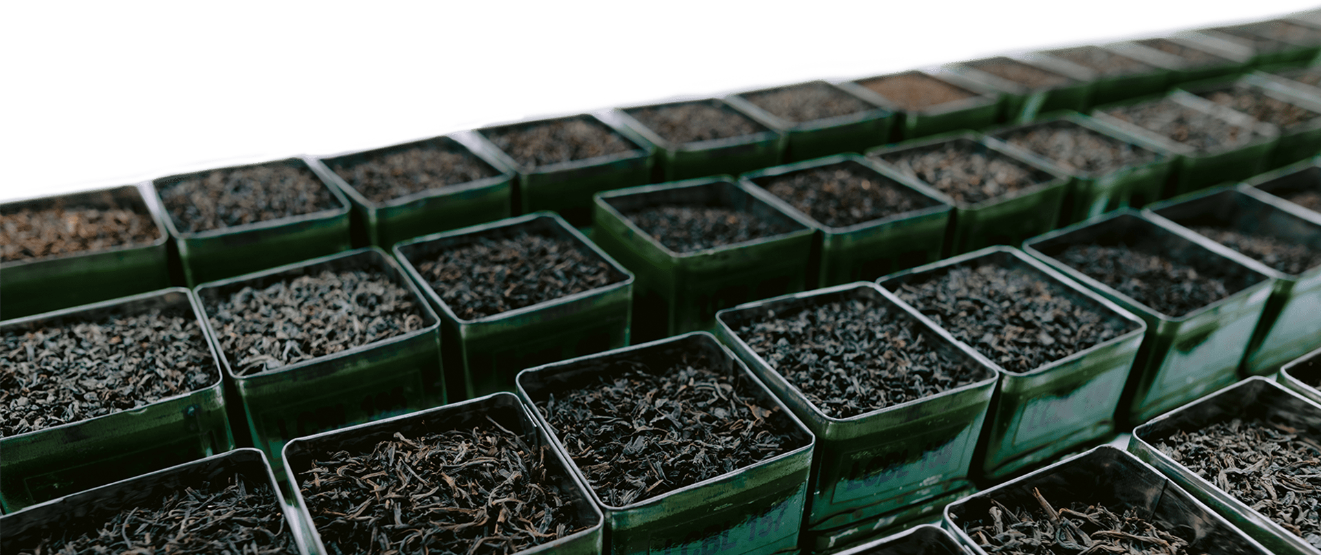 image-bottom-LCBL3-min